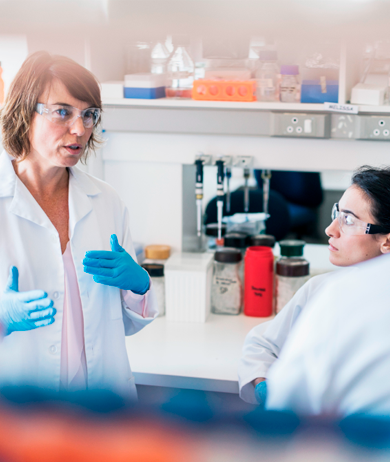 Ismerd meg a szájhigiéniai szakértőink csapatát