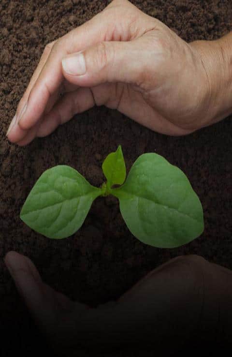 Championing a healthy planet Championing a healthy planet